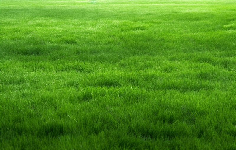 实拍户外大自然中绿色的草坪背景,高清,摄影图,摄影图片,图片大全,摄影图免费下载